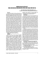 NGHIÊN cứu GIÁ TRỊ của PET CT TRONG CHUẨN đoán GIAI đoạn BỆNH UNG THƯ đại TRỰC TRANG TRƯỚC điều TRỊ
