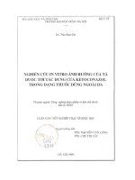 Nghiên cứu invitro ảnh hưởng của tá dược tới tác dụng của ketoconazol trong dạng thuốc dùng ngoài da