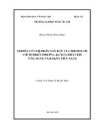 Nghiên cứu hệ phân tán rắn của piroxicam với hydroxypropyl   bê ta   cyclodextrin ứng dụng vào dạng viên nang