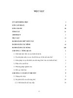 Thiết kế và thực thi mạng trên chip (noc) trên fpga