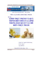 Tiểu luận hóa sinh thực phẩm lipid thực phẩm và quá trình biến đổi của lipid trong bảo quản và chế biến thực phẩm