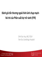Đánh giá tổn thương ngoài hình ảnh chụp mạch  phân suất dự trữ dòng chảy mạch vành   lesions assessment beyond coronary angiography FFR
