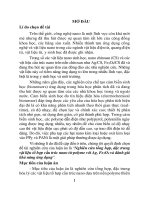 Nghiên cứu tổng hợp, đặc trưng vật liệu tổ hợp cấu trúc nano từ polyme với ag, fe3o4 và đánh giá khả năng ứng dụng (TT)