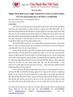 Triệt đốt rối loạn nhịp tim bằng năng lượng sóng có tần số radio qua đường catheter