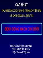 Chẩn đoán và điều trị bệnh động mạch chi dưới