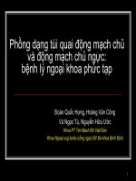 Phồng dạng túi quai động mạch chủ và động mạch chủ ngực  bệnh lý ngoại khoa phức tạp