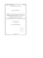 Nghiên cứu tác dụng hạ glucose huyết và ảnh hưởng trên chuyển hoá glucose của dịch chiết lá bằng lăng nước lagerstroemia specciosa (l ) pers ) ở việt nam