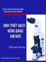 Bài giảng sinh thiết hạch nông bằng kim nhỏ   ths BS  nguyễn thị bích ngọc