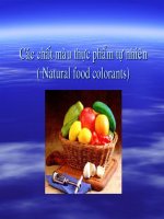 bài giảng các chất màu thực phẩm tự nhiên