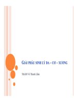 Bài giảng giải phẫu sinh lý da cơ xương   ths BS  võ thành liêm