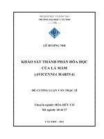 KHẢO sát THÀNH PHẦN hóa học của lá mắm (AVICENNIA MARINA)