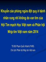 Khuyến cáo phòng ngừa đột quỵ ở bệnh nhân rung nhĩ không do van tim của hội tim mạch học việt nam và phân hội nhịp tim việt nam năm 2014