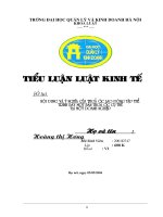 Nội dung và ý nghĩa của thoả ước lao động tập thể  trình bày một bản thoả ước cụ thể tại một doanh nghiệp 