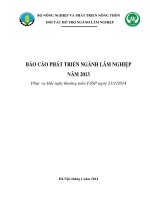 báo cáo tổng thể về ngành lâm nghiệp 2013