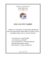 Nghiên cứu ảnh hưởng của biện pháp che phủ đến khả năng sinh trưởng, phát triển của giống lạc đp1 tại chiềng mung   sơn la, vụ xuân năm 2013 