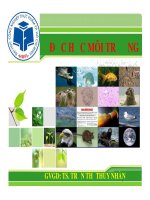 Bài giảng môn độc học môi trường   chương 6  độc tính dầu lửa   thuốc bảo vệ thực vật   TS  trần thị thúy nhàn