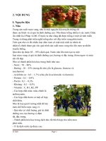 quá trình lên men rượu vang nho