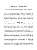 BÀI báo KHOA học ANTIMICROBIAL ACTIVITY AND PHOSPHORUS RELEASE BEHAVIOR OF STARCH OR CHITOSAN HYDROGEL MEMBRANES