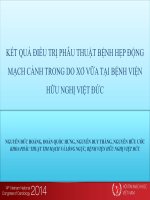 Kết quả phẫu thuật điều trị hẹp động mạch cảnh trong do xơ vữa tại bệnh viện việt đức