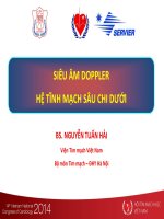 SIÊU âm DOPPLER hệ TĨNH MẠCH sâu CHI dưới