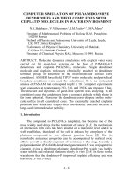 COMPUTER SIMULATION OF POLYAMIDOAMINE