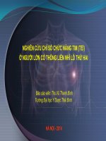 NGHIÊN cứu CHỈ số CHỨC NĂNG TIM (TEI)  ở NGƯỜI lớn có THONG LIÊN NHĨ lỗ THỨ HAI