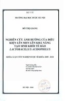 Nghiên cứu ảnh hưởng của điều kiện lên men khả năng tạo sinh khối tế bào lactobacillus acidophilus