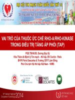 VAI TRÒ của THUỐC ức CHẾ RHO a RHO KINASE TRONG điều TRỊ TĂNG áp PHỔI(tap)