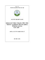 Khảo sát thực trạng tiêu thụ thuốc tại bệnh viện đa khoa tỉnh hà giang năm 2009