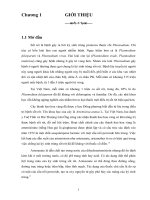 Nghiên cứu tổng hợp nano artesunate