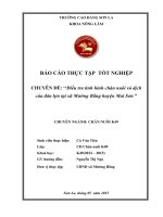 Điều tra tình hình chăn nuôi và dịch bệnh của đàn lợn tại xã mường bằng, huyện mai sơn 