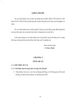 Tính toán và tối ưu cấu tháp trụ 100m