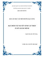 Đặc điểm tài nguyên sinh vật theo tuyến hành trình