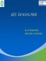 04Siêu âm màng phổi ths vũ thành trung