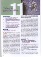 SINH HỌC CAMPBELLchương 11 thông tin giữa các tế bào