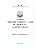 Nghiên cứu quy trình tổng hợp este methyl (+) 2 clorophenylglycin