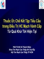 Thuốc ức chế kết tập tiểu cầu trong điều trị hội chứng vành cấp từ quá khứ đến hiện tại