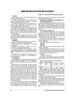 NGHIÊN cứu HÌNH THÁI cấu TRÚC ỐNG rò túi MANG IV