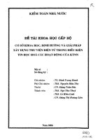 Cơ sở khoa học, định hướng và giải pháp xây dựng thư viện điện tử trong điều kiện tin học hóa các hoạt động của KTNN 