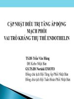 CẬP NHẬT điều TRỊ TĂNG áp ĐỘNG MẠCH PHỔI VAI TRÒ KHÁNG THỤ THỂ ENDOTHELIN
