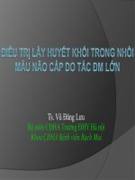 Điều trị lấy huyết khối trong nhồi máu não cấp do tắc động mạch lớn