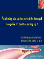 Ảnh hƣởng của sulfonylurea trên tim mạch trong điều trị đái tháo đường típ 2