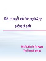 Điều trị huyết khối tĩnh mạch  dự phòng tái phát