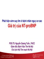 Phát hiện sớm suy tim ở bệnh nhân nguy cơ cao giá trị của NT proBNP