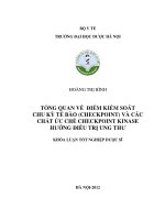Tổng quan về điểm kiểm soát chu kỳ tế bào (checkpoint) và các chất ức chế checkpoint kinase hướng điều trị ung thư