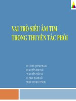 VAI TRÒ SIÊU âm TIM TRONG THUYÊN tắc PHỔI