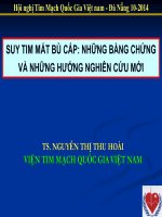 Suy tim mất bù cấp những bằng chứng và những hướng nghiên cứu mới