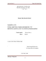 NGHIÊN cứu TỔNG hợp POLYMER DENDRITIC từ METHYLACRYLATE và ETHYLENEDIAMINE