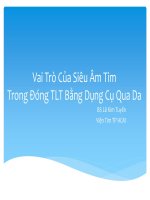 Vai trò của siêu âm TIM trong đóng TLT bằng dụng cụ qua da