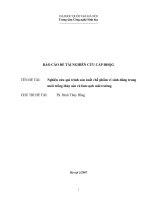 Nghiên cứu qui trình sản xuất chế phẩm vi sinh dùng trong nuôi trồng thủy sản và làm sạch môi trường